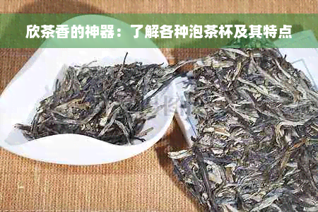 欣茶香的神器：了解各种泡茶杯及其特点