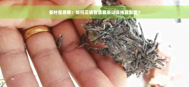 茶叶保质期：如何正确存放藏茶以保持其新度？