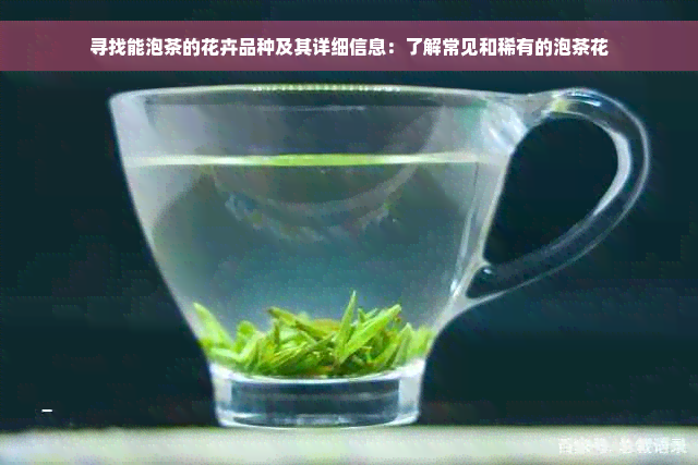 寻找能泡茶的花卉品种及其详细信息：了解常见和稀有的泡茶花