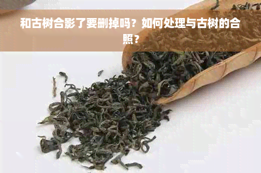 和古树合影了要删掉吗？如何处理与古树的合照？