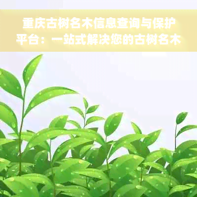 重庆古树名木信息查询与保护平台：一站式解决您的古树名木相关问题