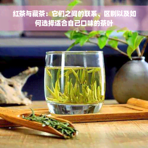 红茶与藏茶：它们之间的联系、区别以及如何选择适合自己口味的茶叶