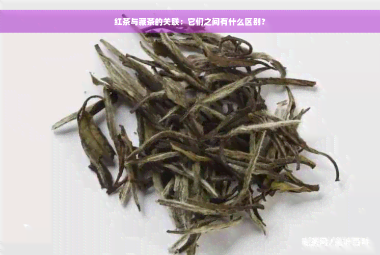 红茶与藏茶的关联：它们之间有什么区别？