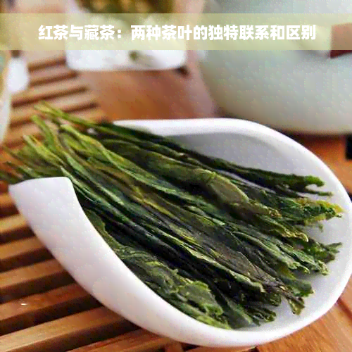 红茶与藏茶：两种茶叶的独特联系和区别