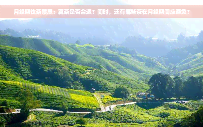 月经期饮茶禁忌：藏茶是否合适？同时，还有哪些茶在月经期间应避免？