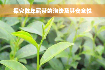 探究陈年藏茶的泡法及其安全性