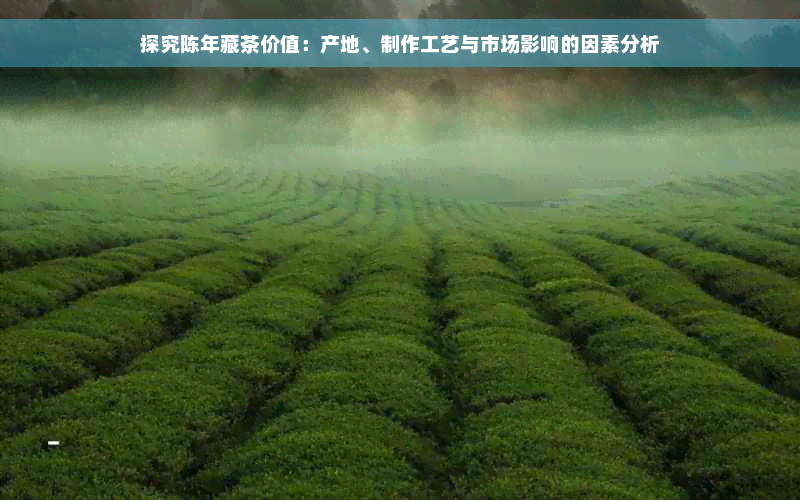 探究陈年藏茶价值：产地、制作工艺与市场影响的因素分析