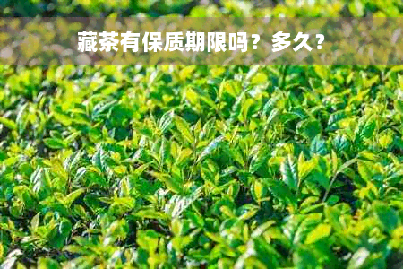 藏茶有保质期限吗？多久？