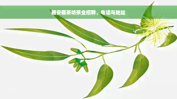 雅安藏茶坊茶业招聘、电话与地址