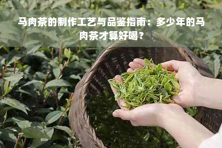 马肉茶的制作工艺与品鉴指南：多少年的马肉茶才算好喝？