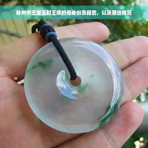 林州市王宝玉和王保的哥身份及籍贯，以及落选情况