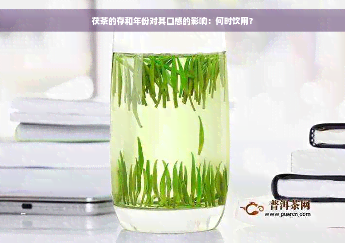 茯茶的存和年份对其口感的影响：何时饮用？