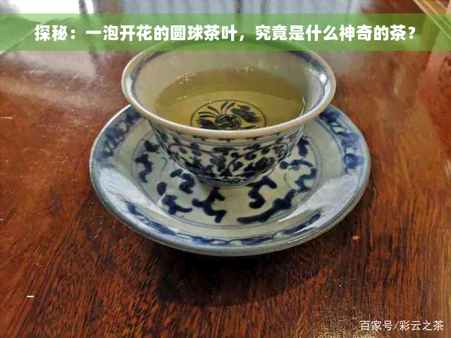 探秘：一泡开花的圆球茶叶，究竟是什么神奇的茶？