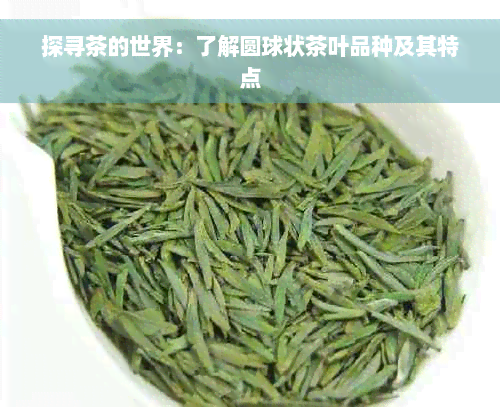 探寻茶的世界：了解圆球状茶叶品种及其特点