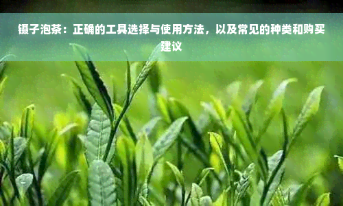 镊子泡茶：正确的工具选择与使用方法，以及常见的种类和购买建议