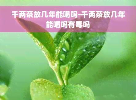 千两茶放几年能喝吗-千两茶放几年能喝吗有毒吗