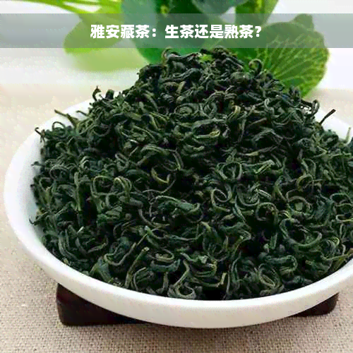 雅安藏茶：生茶还是熟茶？