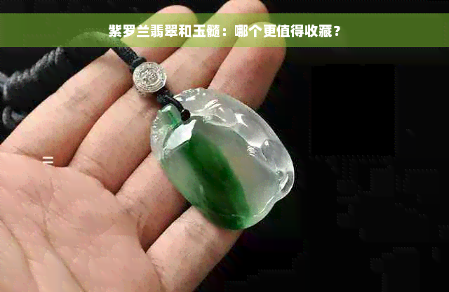 紫罗兰翡翠和玉髓：哪个更值得收藏？