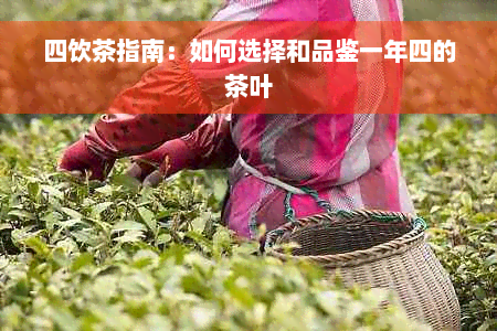 四饮茶指南：如何选择和品鉴一年四的茶叶