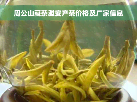 周公山藏茶雅安产茶价格及厂家信息