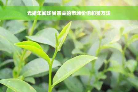 光绪年间珍贵茶壶的市场价值和鉴方法