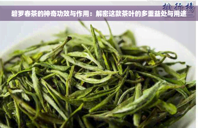 碧罗春茶的神奇功效与作用：解密这款茶叶的多重益处与用途