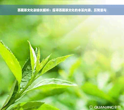  *** 茶文化副会长解析：探寻 *** 茶文化的丰富内涵、历背景与