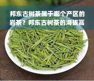 邦东古树茶属于哪个产区的岩茶？邦东古树茶的海拔高度是多少？