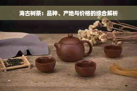 海古树茶：品种、产地与价格的综合解析