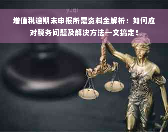 增值税逾期未申报所需资料全解析：如何应对税务问题及解决方法一文搞定！