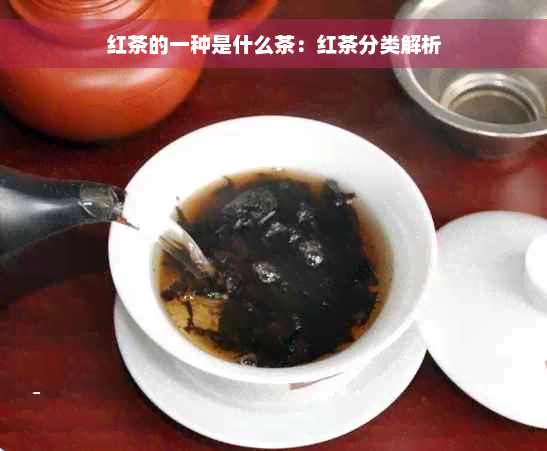 红茶的一种是什么茶：红茶分类解析