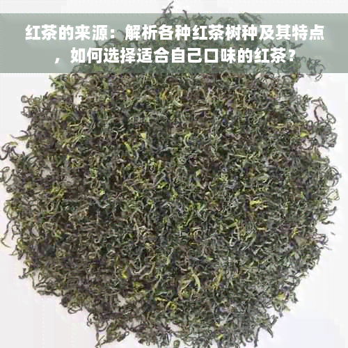 红茶的来源：解析各种红茶树种及其特点，如何选择适合自己口味的红茶？