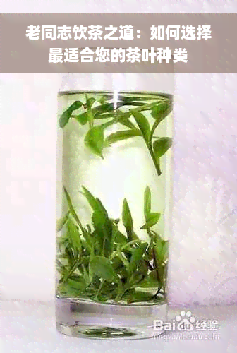 老同志饮茶之道：如何选择最适合您的茶叶种类