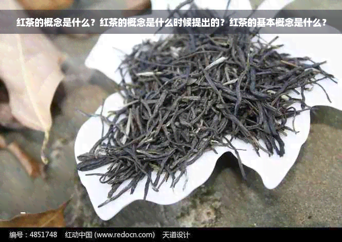 红茶的概念是什么？红茶的概念是什么时候提出的？红茶的基本概念是什么？