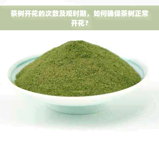 茶树开花的次数及观时期，如何确保茶树正常开花？