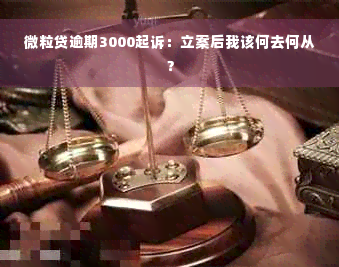 微粒贷逾期3000起诉：立案后我该何去何从？