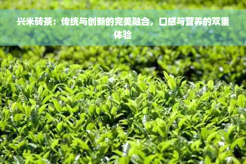 兴米砖茶：传统与创新的完美融合，口感与营养的双重体验