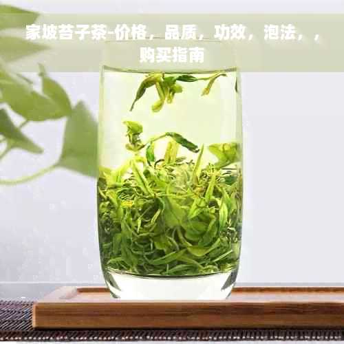 家坡苔子茶-价格，品质，功效，泡法，，购买指南