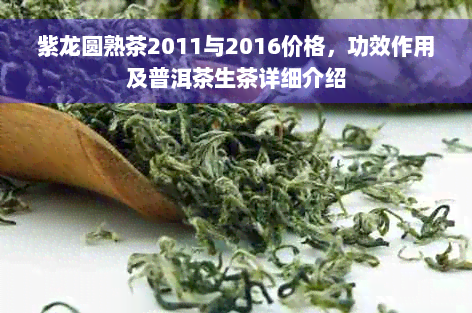 紫龙圆熟茶2011与2016价格，功效作用及普洱茶生茶详细介绍