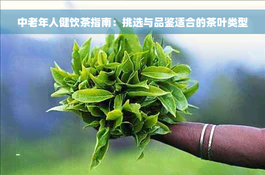 中老年人健饮茶指南：挑选与品鉴适合的茶叶类型