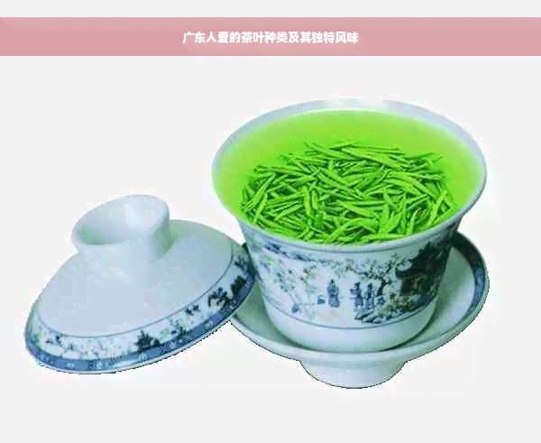 广东人爱的茶叶种类及其独特风味