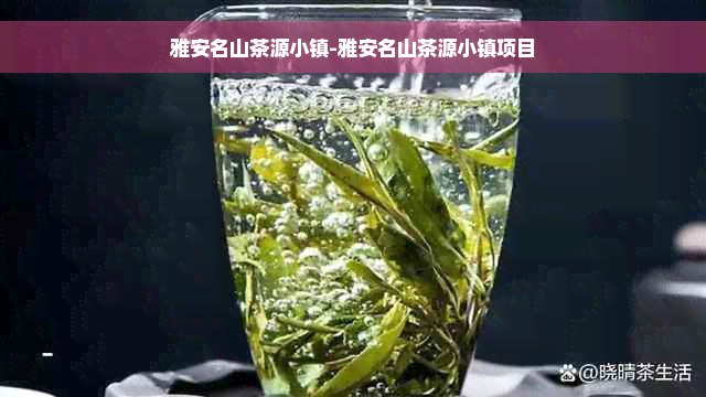 雅安名山茶源小镇-雅安名山茶源小镇项目