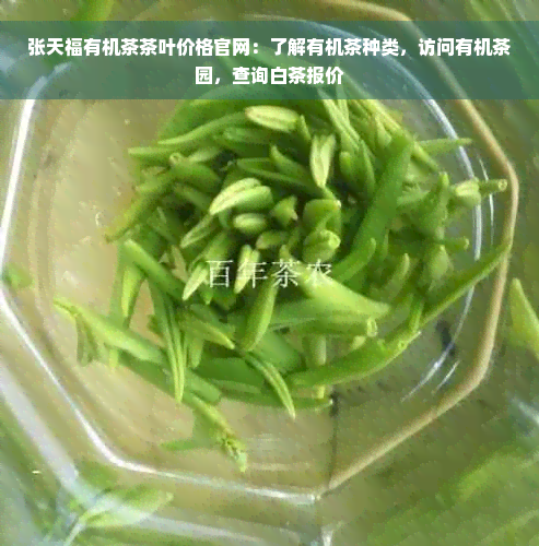 张天福有机茶茶叶价格官网：了解有机茶种类，访问有机茶园，查询白茶报价