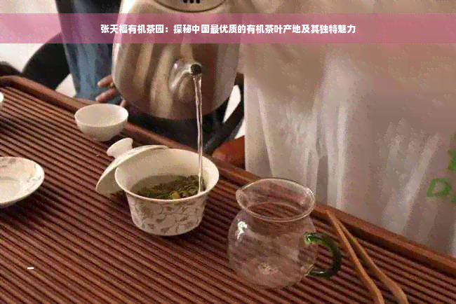 张天福有机茶园：探秘中国更优质的有机茶叶产地及其独特魅力