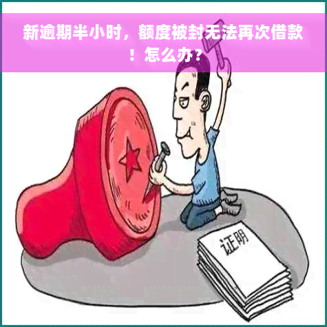 新逾期半小时，额度被封无法再次借款！怎么办？