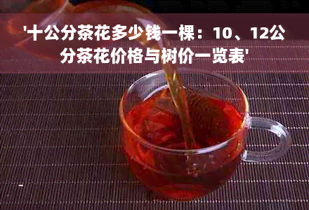 '十公分茶花多少钱一棵：10、12公分茶花价格与树价一览表'