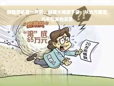 微粒贷逾期一天后，额度大幅度下降：从六万降至八千引发的反思