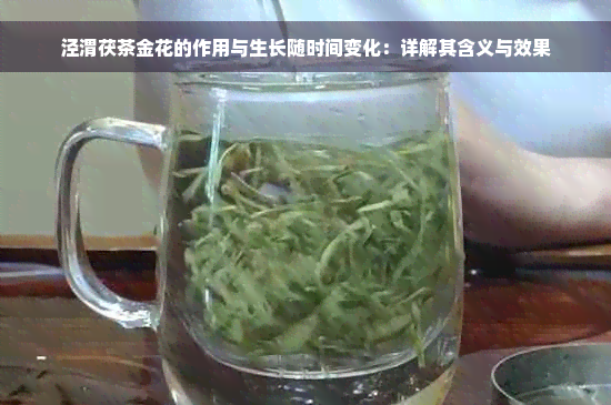 泾渭茯茶金花的作用与生长随时间变化：详解其含义与效果