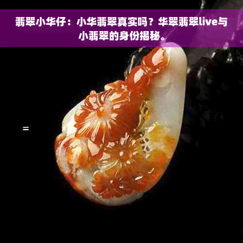 翡翠小华仔：小华翡翠真实吗？华翠翡翠live与小翡翠的身份揭秘。