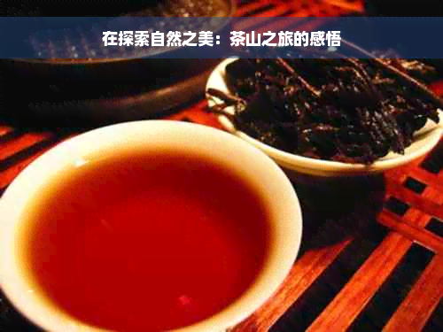 在探索自然之美：茶山之旅的感悟